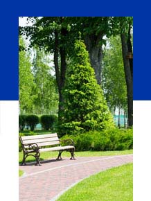 Get access to real marketing innovation including AI 